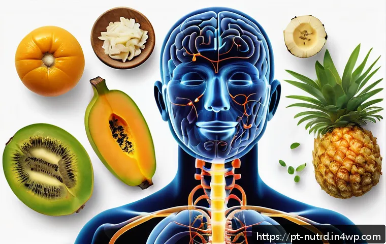Descubra como os nutrientes essenciais influenciam a produção de serotonina para melhorar seu bem-estar 4 세로토닌과 영양소의 상관관계 관련 이미지 2